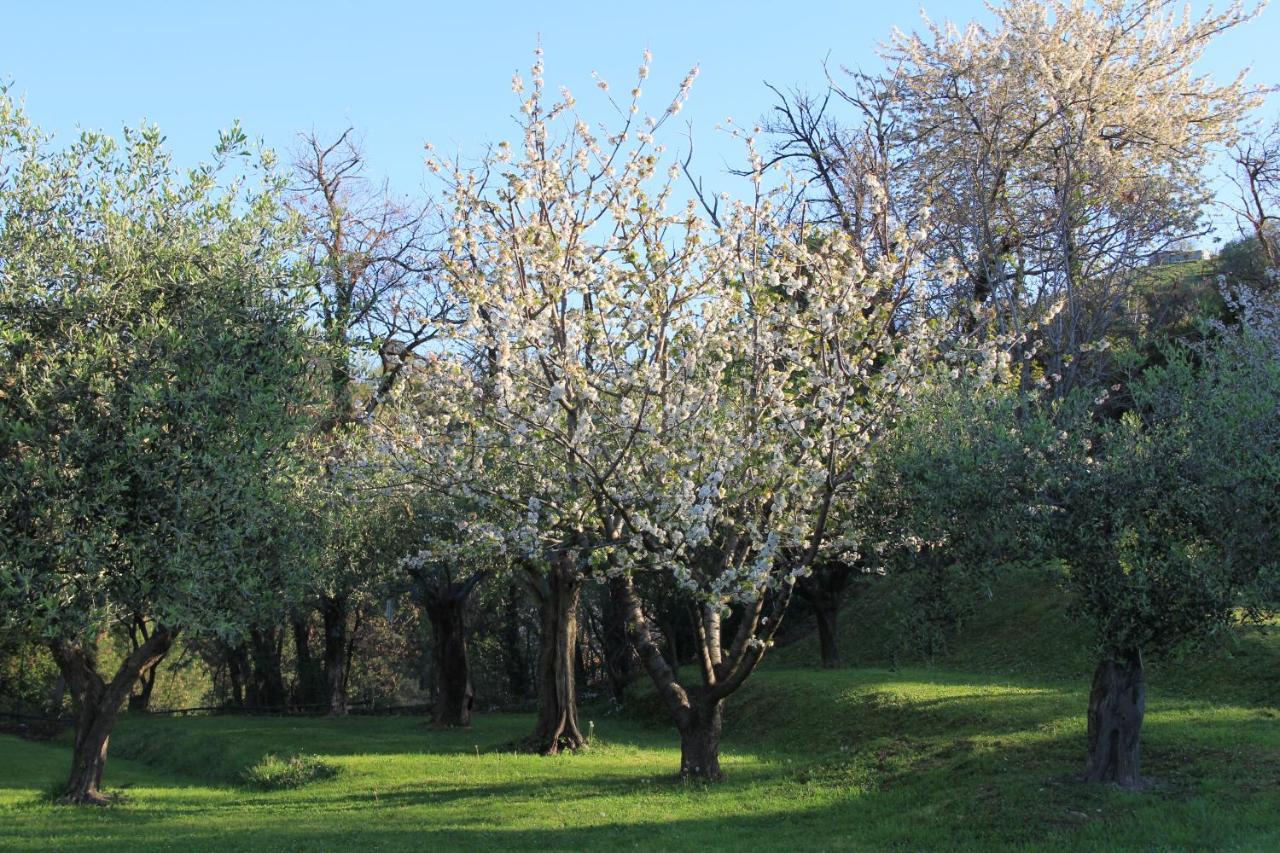 Convento La Perla Villa Карара Екстериор снимка